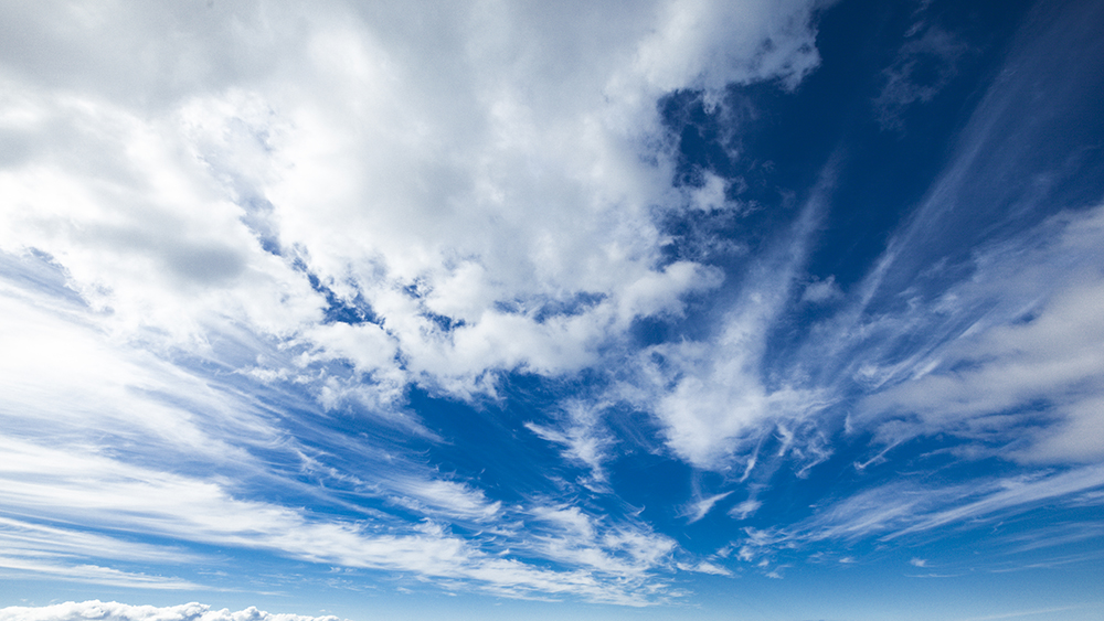 執行役員メッセージ 画像