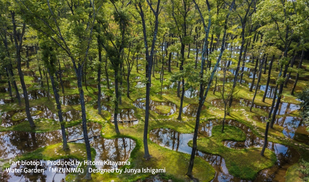 環境への取組み 画像