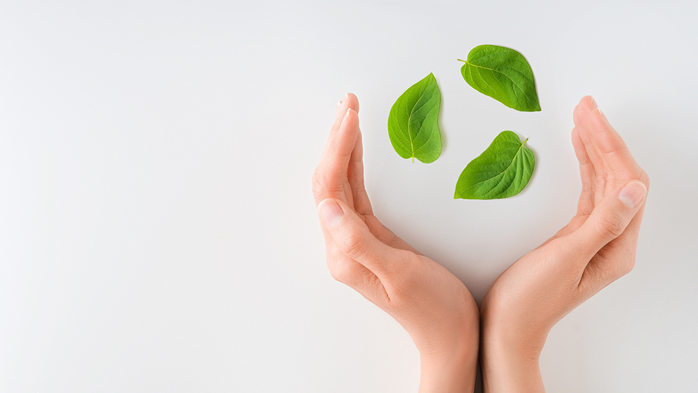 External Evaluations and Initiatives